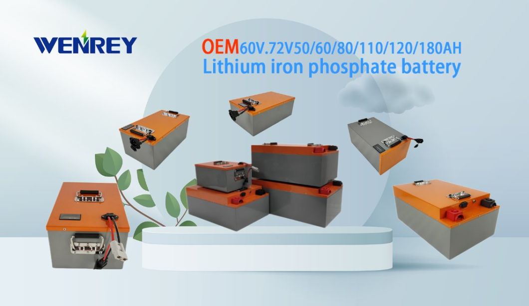 48V 15ah 30ah 45ah 60ah 100ah 200ah LiFePO4 电池组适用于电动自行车自行车/房车/高尔夫球车/船/太阳能