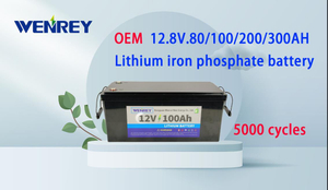 Professional Custom Design Factory Supply 200ah Lithium Ion Battery Phosphate 12V LiFePO4 Battery