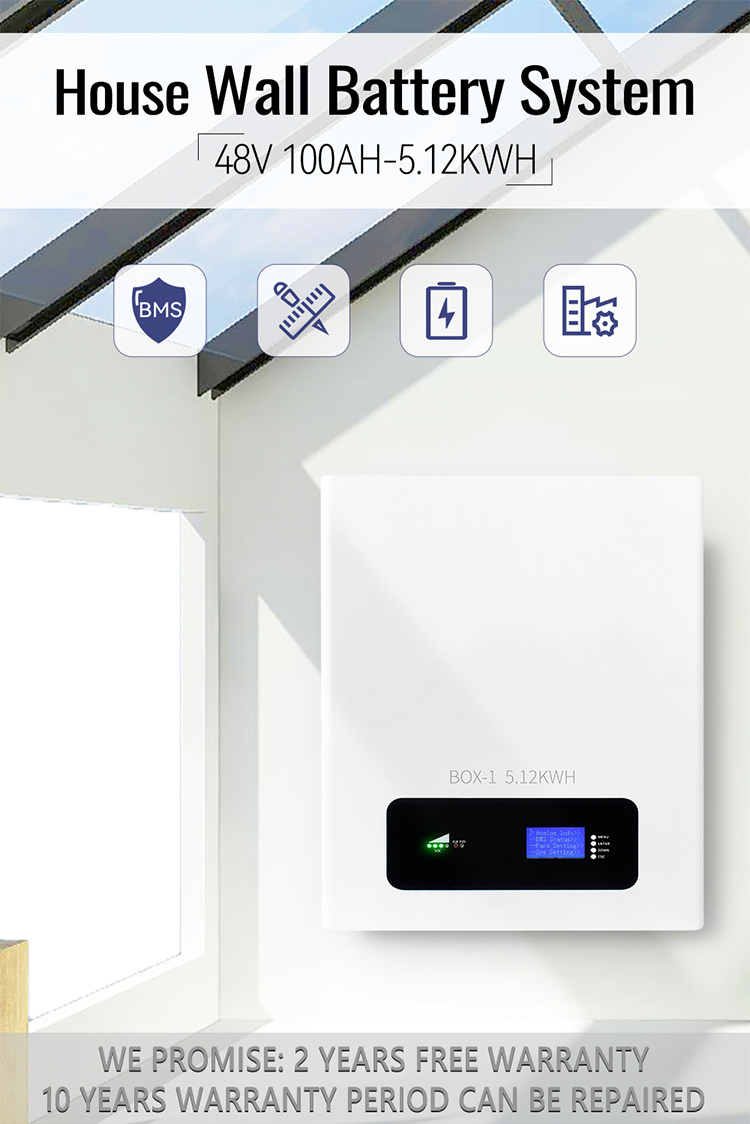 家用存储系统 48V Powerwall 电源锂离子电池 100 Ah