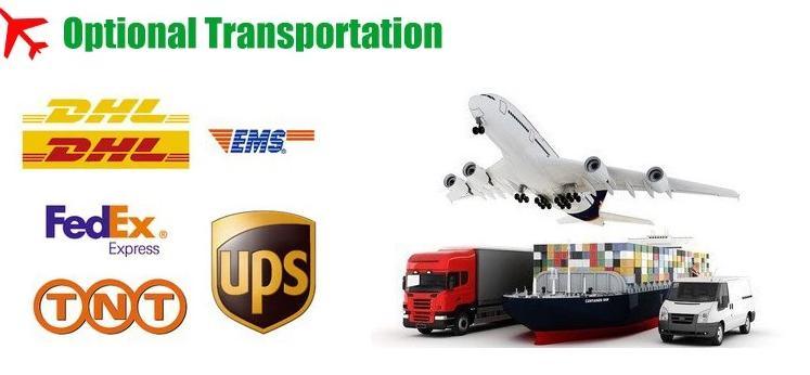 太阳能电池板充电逆变器 1500W 2400W 混合离网，1 个 12V 24V 220V 230V 纯正弦波 MPPT 控制器